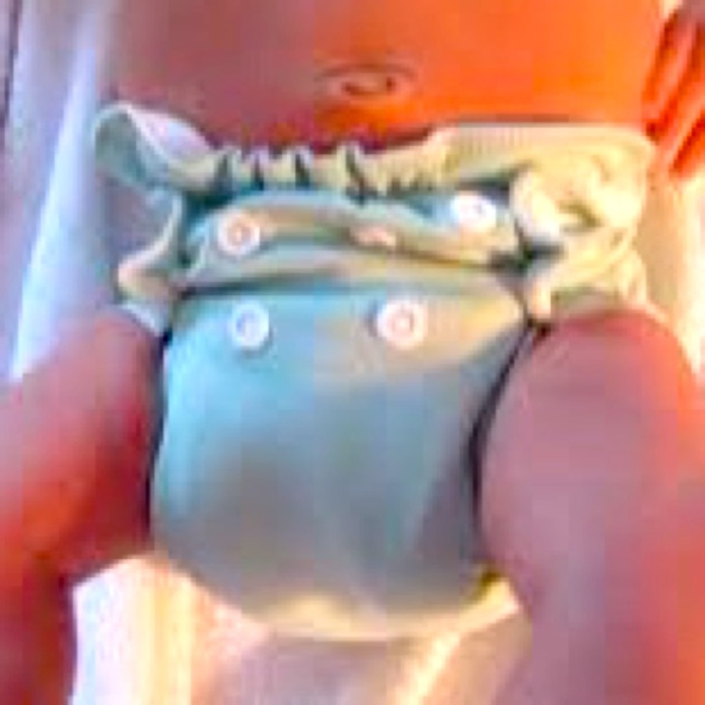 Apple Cheeks Cloth Diapers